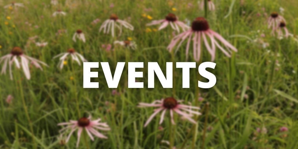 Button for "Events" with blurred coneflowers in the backgroun