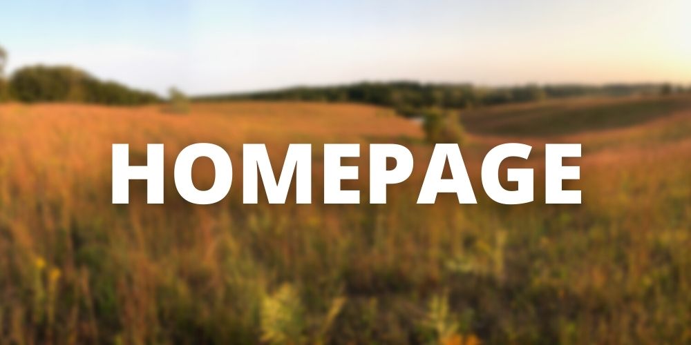 Button for "Homepage" with blurred fall prairie in the background