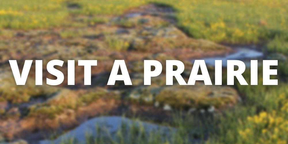 Button for "Visit a Prairie" with blurred rock outcroppings in the background