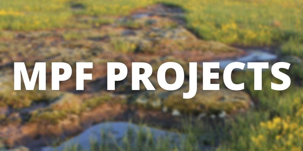 Reads "MPF Projects" with a blurred prairie in that background