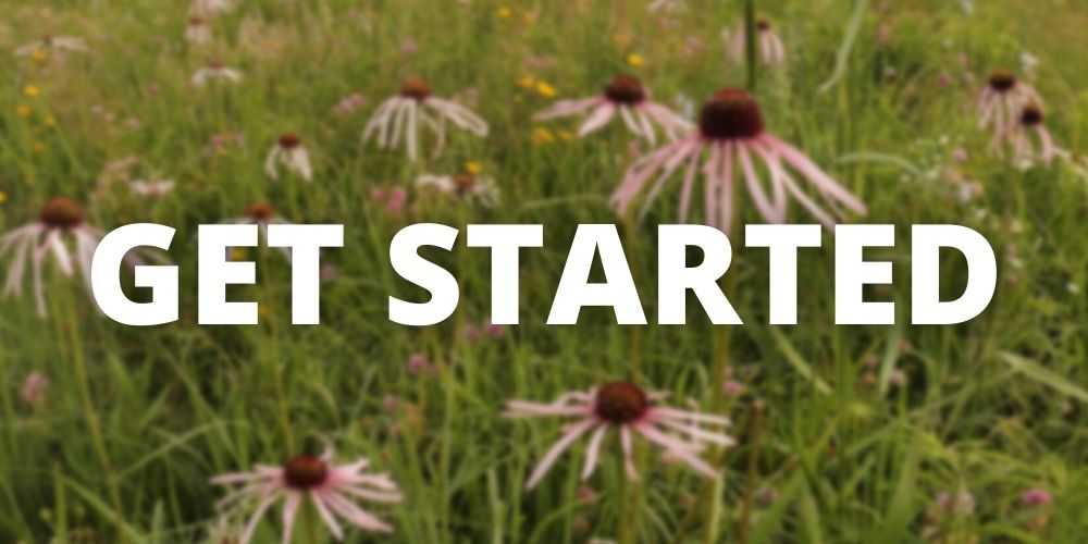 Reads "Get Started" with blurred photo of coneflowers in the background