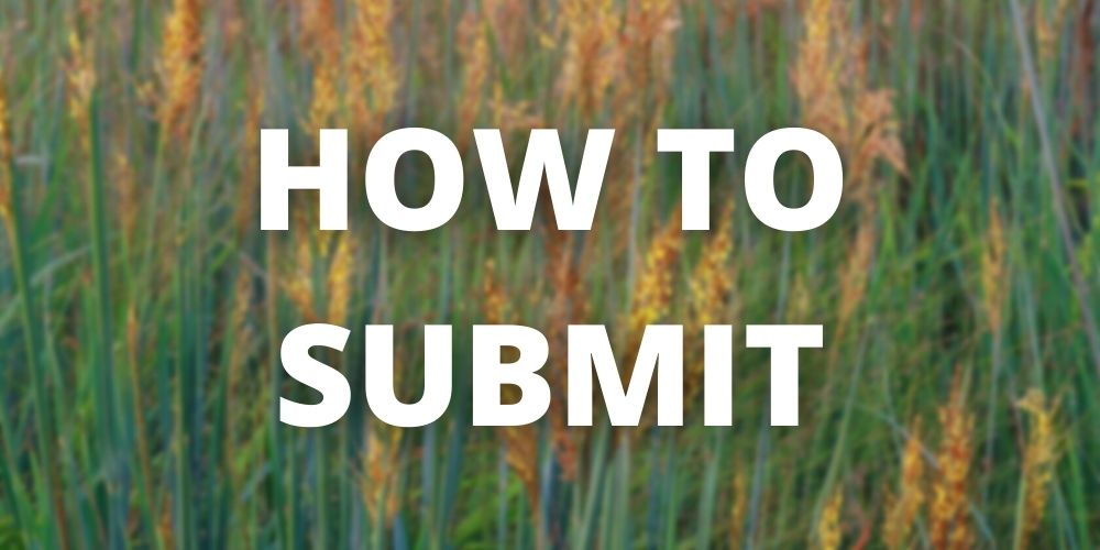 Reads "How to Submit" with blurred photo of grass in the background