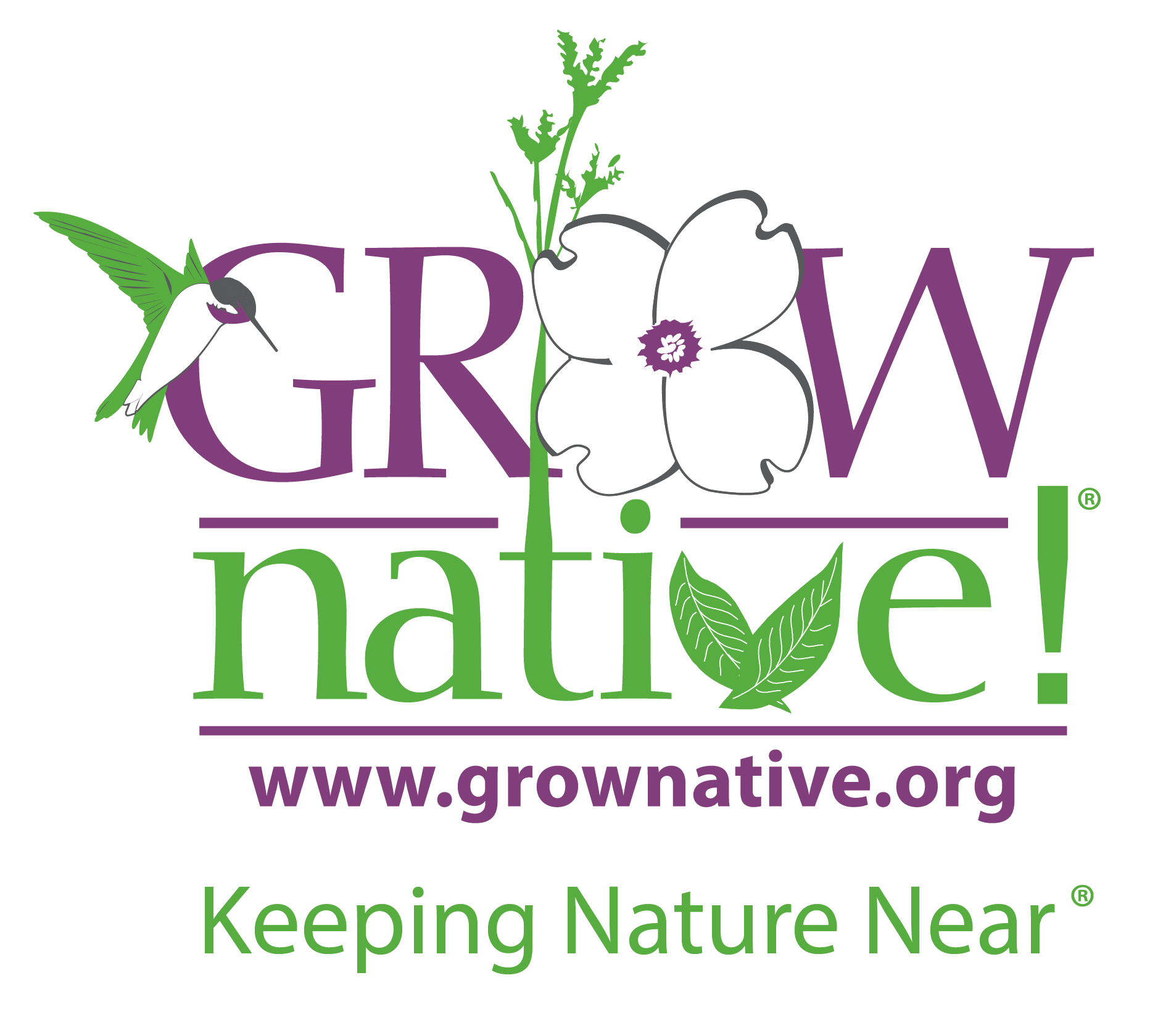 GN Logo AI_RGB_transbackground-01 (1)