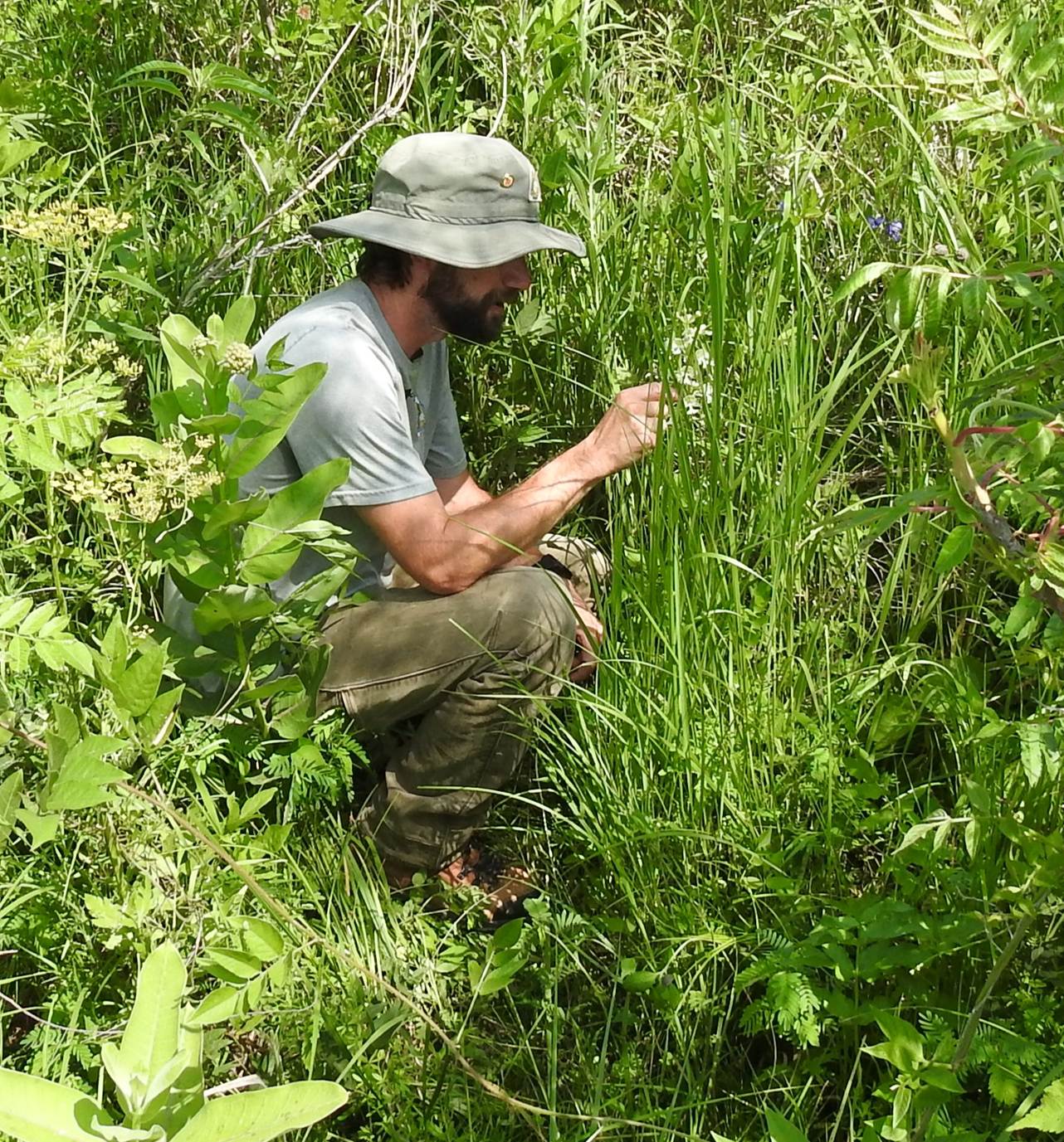 Portrait of man with plants and rocks in background.