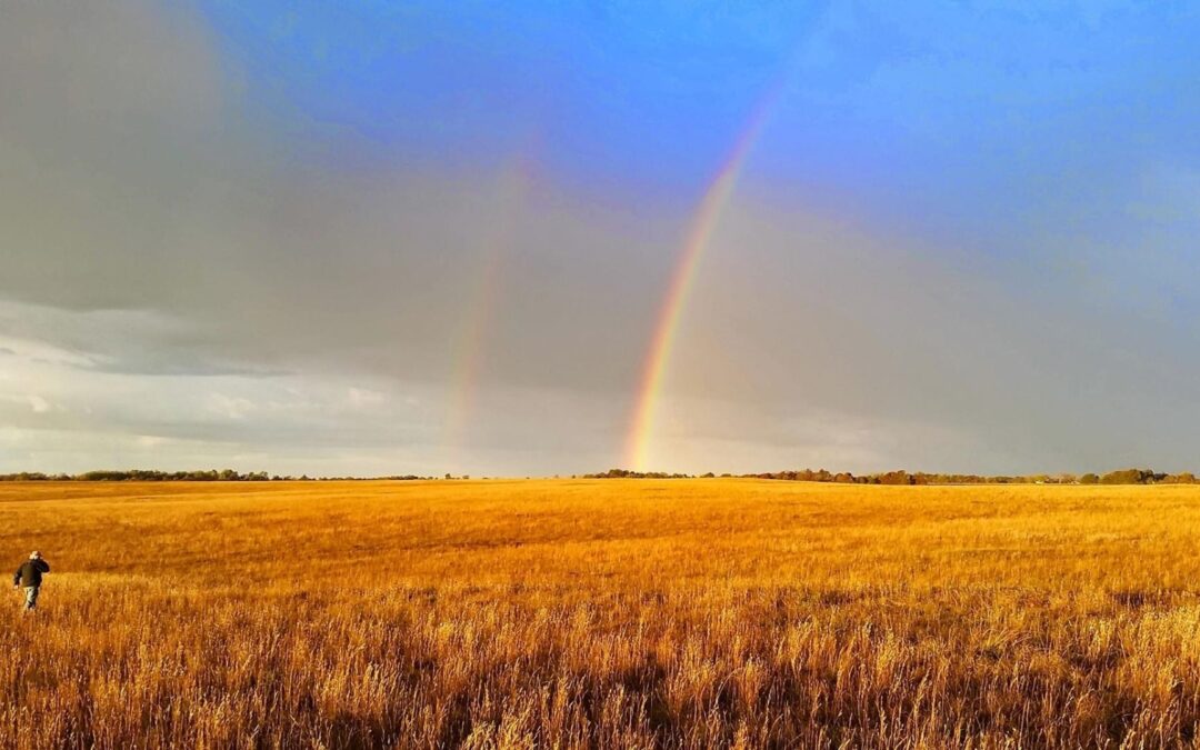 MPF’s Penn-Sylvania Prairie Sets New World Record