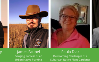 MPF Offers Grow Native! Webinars for June 2020