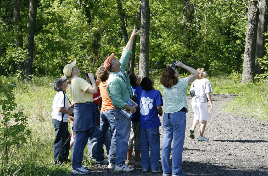 Prairies are a Suitable Learning Stage for the Five Es: Engage, Explore, Explain, Elaborate, and Evaluate