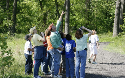 Prairies are a Suitable Learning Stage for the Five Es: Engage, Explore, Explain, Elaborate, and Evaluate
