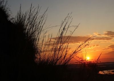 Polson Loess Bluff Prairie