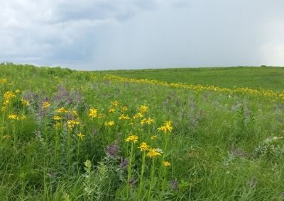 Stilwell Prairie