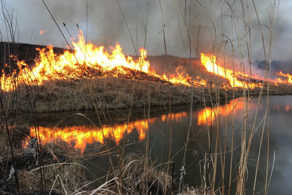Prescribed burn by the Runge Prairie pond