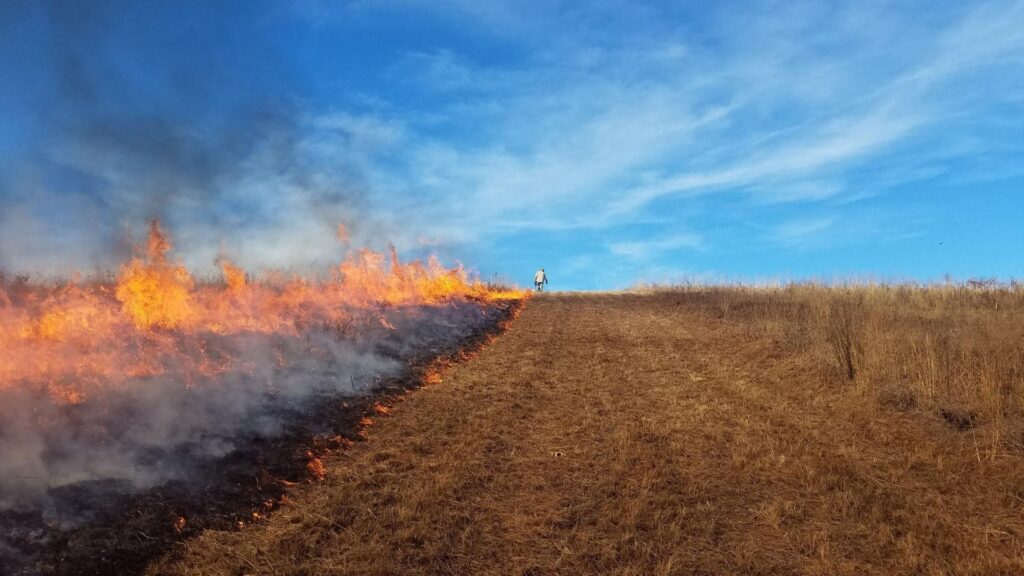 Prescribed burn at Linden's Prairie Jerod Huebner
