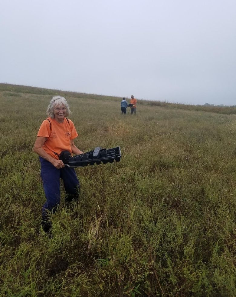 volunteers in the field, planting plugs at Snowball Hill Prairie