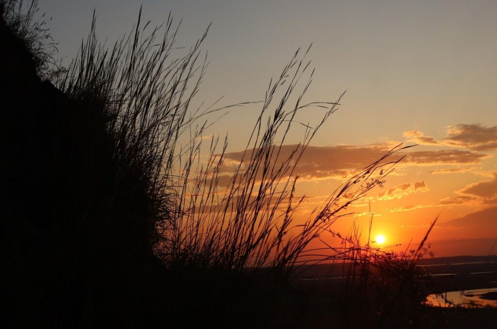 sunset silhouetting prairie grasses and reflecting on river below