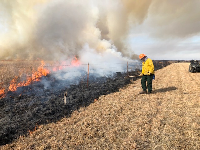 Person in safety gear conducting prescribed fire in field