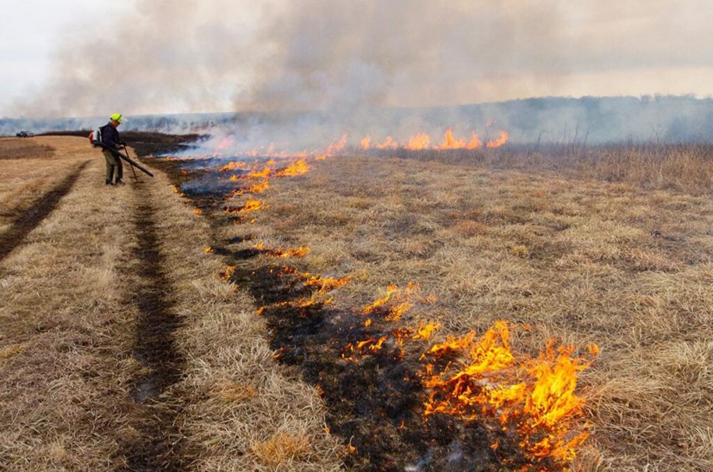 prescribed burn at stilwell prairie