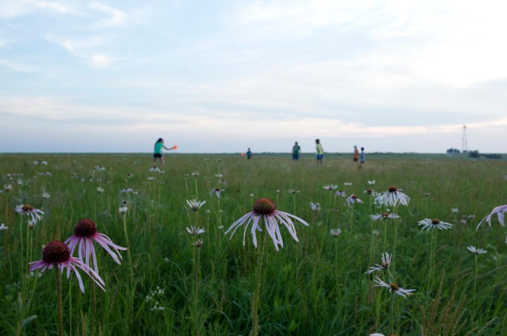 distant photo of people playing frisbee in field
