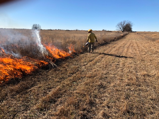 prescribed burn at pleasant run creek prairie