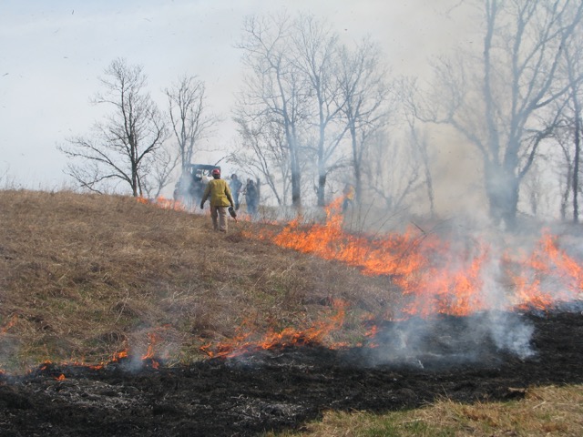 Controlled burn at Snowball Hill Prairie