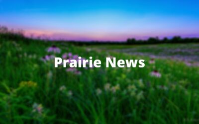 End of the Year Giving 2021