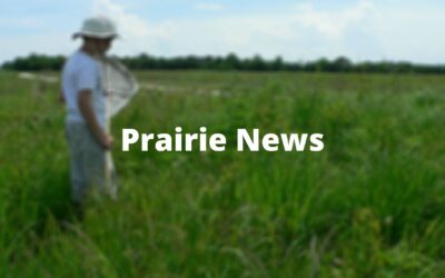 Land Trust Alliance Statement on the U.S. President’s 30×30 Executive Order