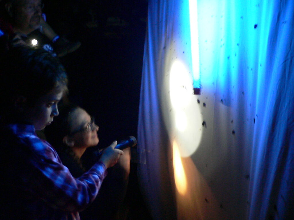 Shining lights on a white sheet for Nocturnal insect observation at Gayfeather Prairie