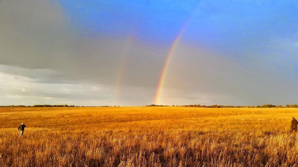 men walking in field with rainbow in the sky