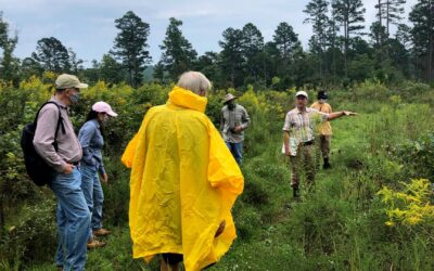 Prairie Plants Throughout Missouri: From the Glaciated Plains to Pine Woodlands