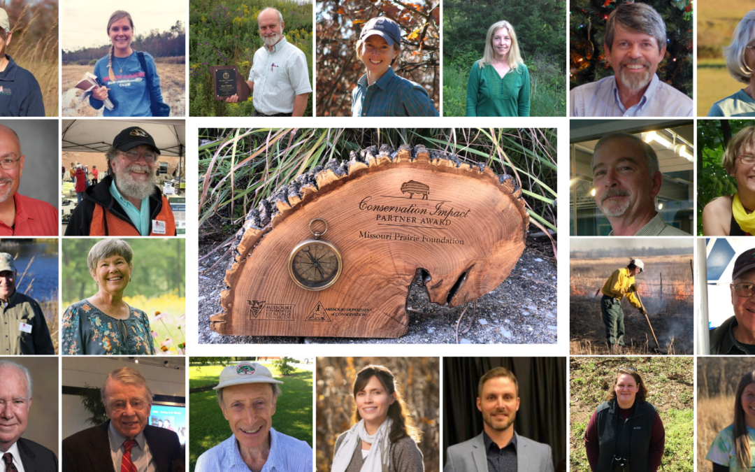 MPF Receives Conservation Impact Award