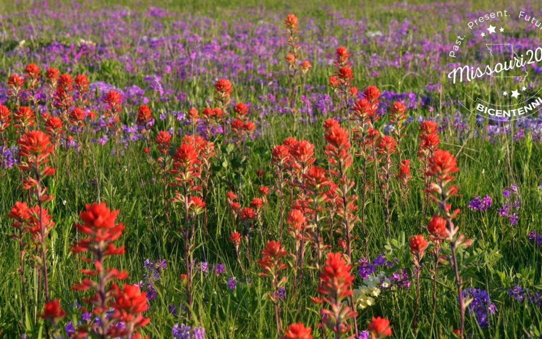 Missouri Prairie Foundation Announces Missouri Bicentennial Project