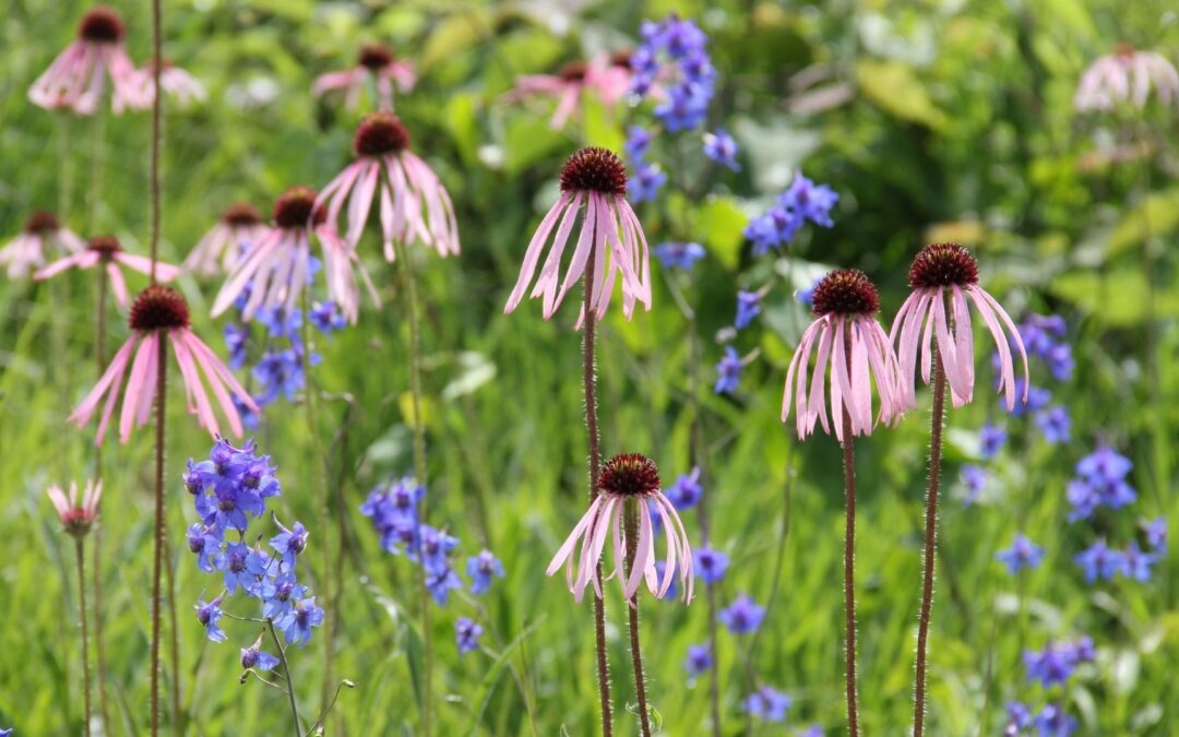 Call for 2025 Award Nominations