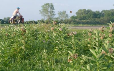 Author Who Biked the 10,000+ Mile Monarch Migration Route to Speak April 28