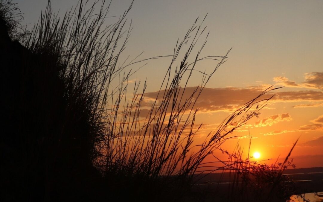 Missouri Prairie Foundation Bestows 2021 Awards