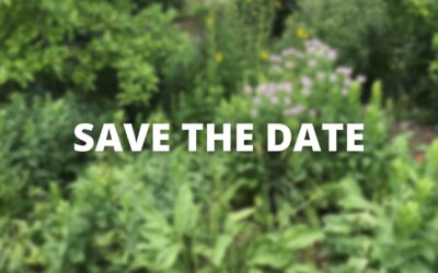 APA Virtual Luncheon on Land Trusts & Communities April 19