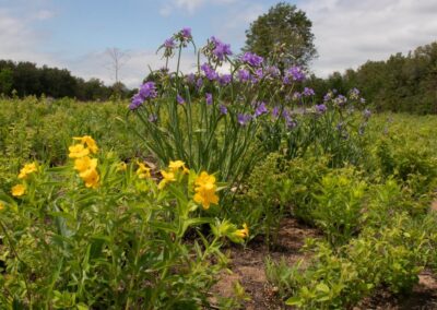 Edgar W. Schmidt Sand Prairie
