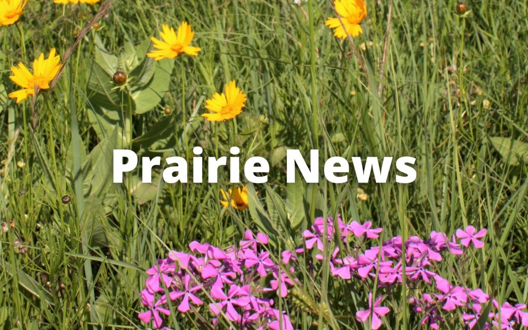 Now Hiring: Missouri Prairie Foundation and Grow Native! Operations Assistant