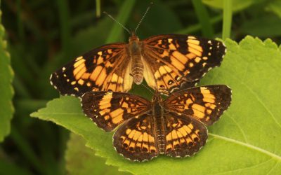 2023 End of Year Giving and Accomplishments