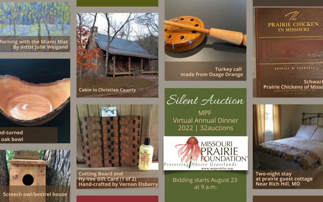 MPF Virtual Annual Dinner Silent Auction—Bidding Begins August 23