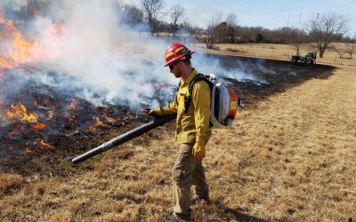 Now Hiring: Missouri Prairie Foundation Prairie Stewardship Assistant