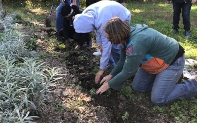 2025 Prairie Garden Grant Awardees