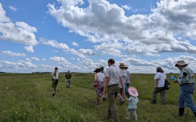 Gathering to Appreciate: National Prairie Day, Prairie Dedication, and Prairie Bioblitz
