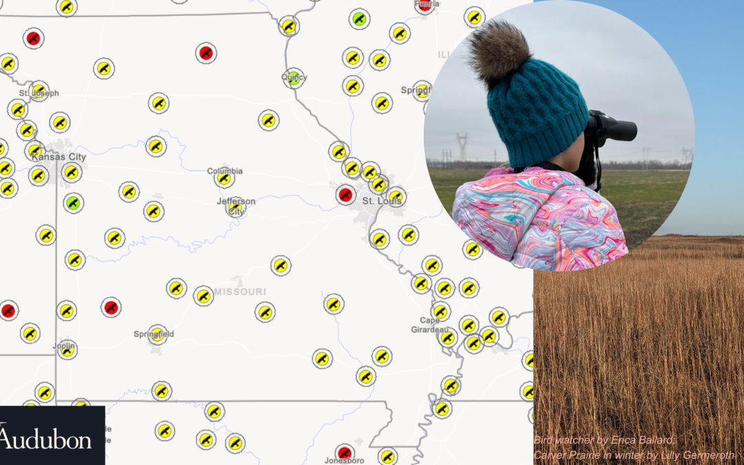 A Christmas Count Call to Action: Form Counting Groups in Select Missouri Regions: Bolivar, Golden City, Sheldon, Sarcoxie