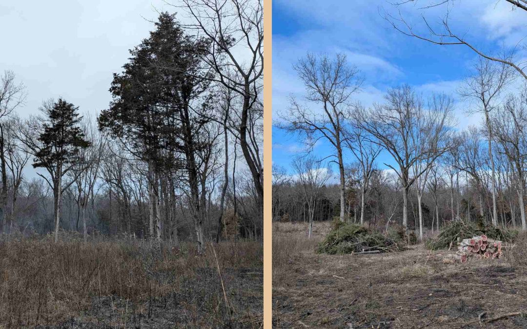 2026 MPF Prairie & Woodland Management Training a Success